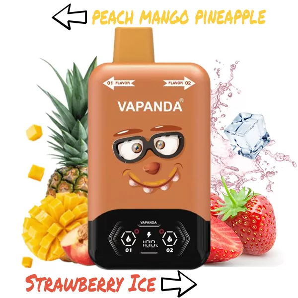 Panda Dual Flavor Switch 40K Puff Of Joy