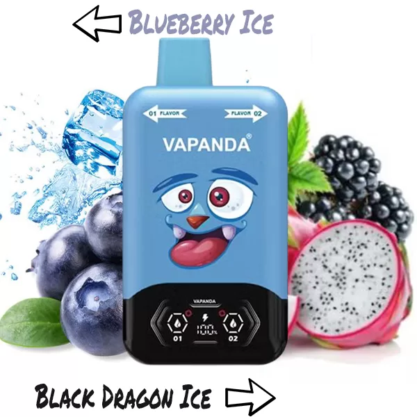 Panda Dual Flavor Switch 40K Puff Of Joy